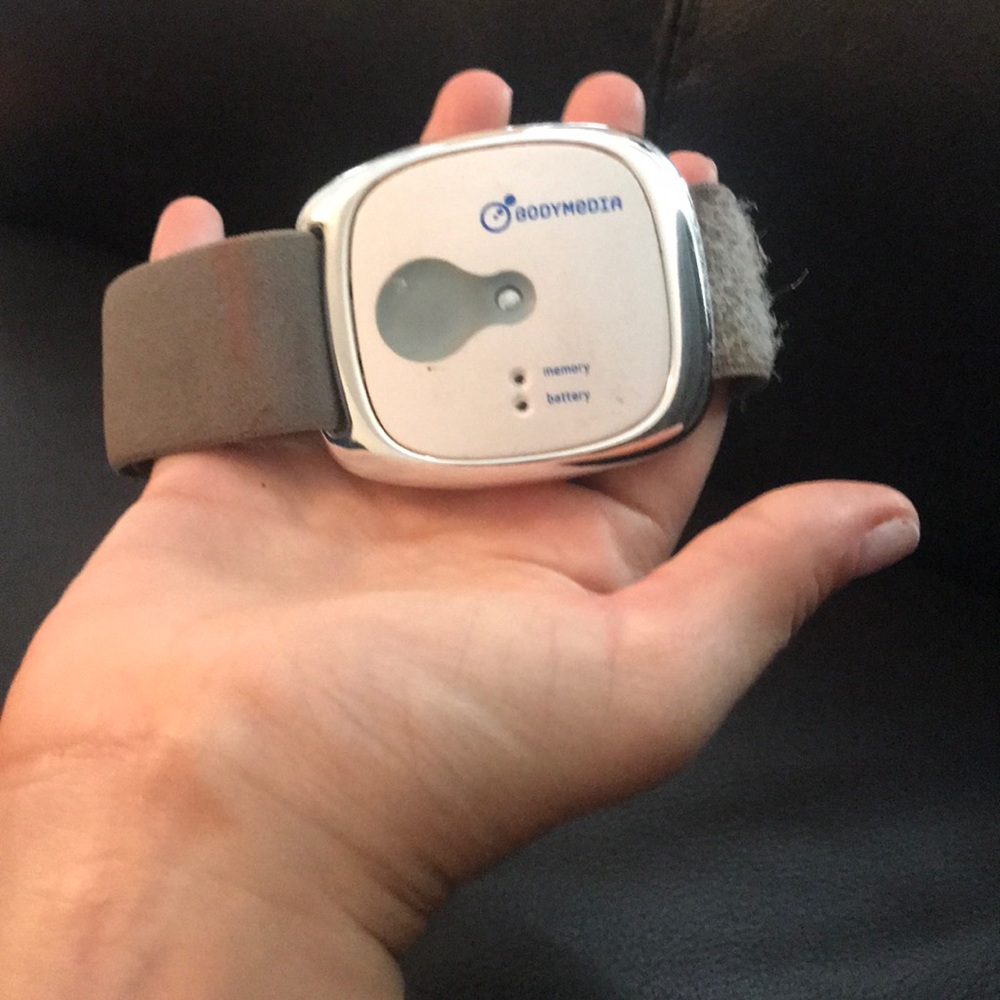 Fitness arm band body bug media